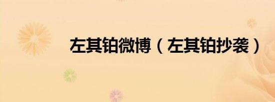 左其铂微博（左其铂抄袭）