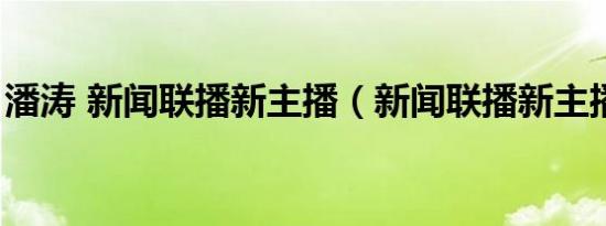 潘涛 新闻联播新主播（新闻联播新主播潘涛）