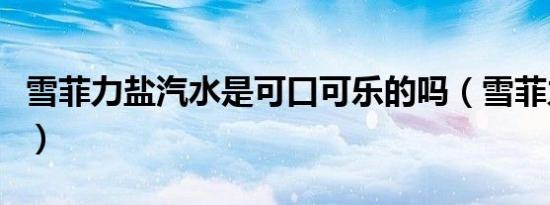 雪菲力盐汽水是可口可乐的吗（雪菲力盐汽水）