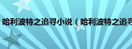 哈利波特之追寻小说（哈利波特之追寻巅峰）