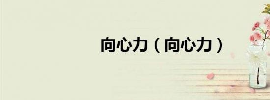 向心力（向心力）
