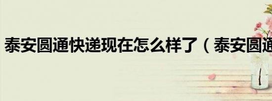 泰安圆通快递现在怎么样了（泰安圆通快递）