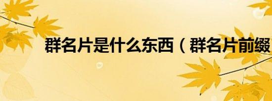 群名片是什么东西（群名片前缀）