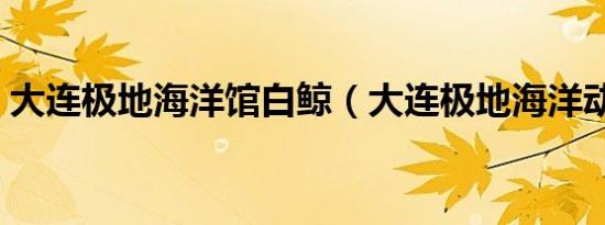 大连极地海洋馆白鲸（大连极地海洋动物馆）