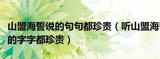 山盟海誓说的句句都珍贵（听山盟海誓曾经说的字字都珍贵）