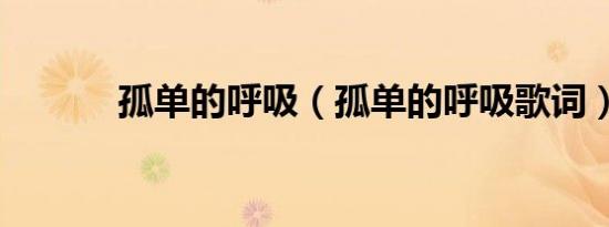 孤单的呼吸（孤单的呼吸歌词）