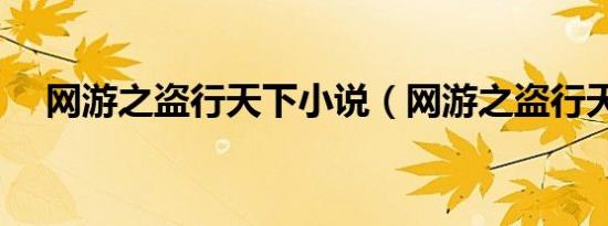 网游之盗行天下小说（网游之盗行天下）