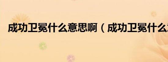 成功卫冕什么意思啊（成功卫冕什么意思）
