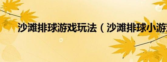沙滩排球游戏玩法（沙滩排球小游戏）