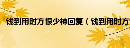钱到用时方恨少神回复（钱到用时方恨少）