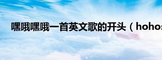 嘿哦嘿哦一首英文歌的开头（hohosex）
