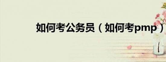 如何考公务员（如何考pmp）