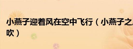 小燕子迎着风在空中飞行（小燕子之风儿阵阵吹）