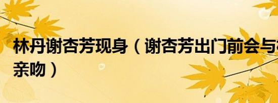 林丹谢杏芳现身（谢杏芳出门前会与林丹拥抱亲吻）