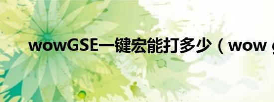 wowGSE一键宏能打多少（wow gs）