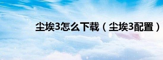 尘埃3怎么下载（尘埃3配置）