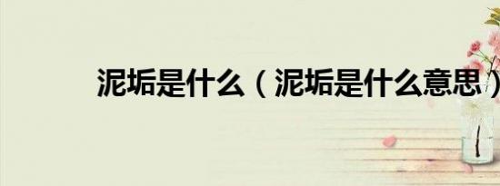 泥垢是什么（泥垢是什么意思）