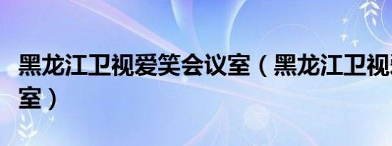 黑龙江卫视爱笑会议室（黑龙江卫视爱笑会议室）