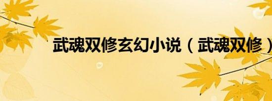 武魂双修玄幻小说（武魂双修）