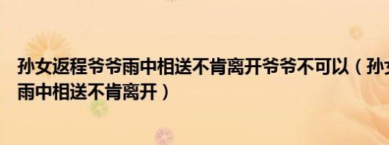 孙女返程爷爷雨中相送不肯离开爷爷不可以（孙女返程爷爷雨中相送不肯离开）