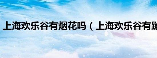 上海欢乐谷有烟花吗（上海欢乐谷有蹦极吗）