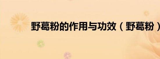 野葛粉的作用与功效（野葛粉）