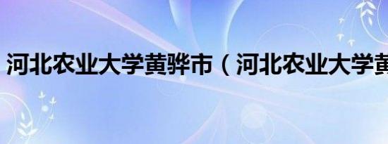 河北农业大学黄骅市（河北农业大学黄骅市）