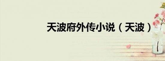 天波府外传小说（天波）
