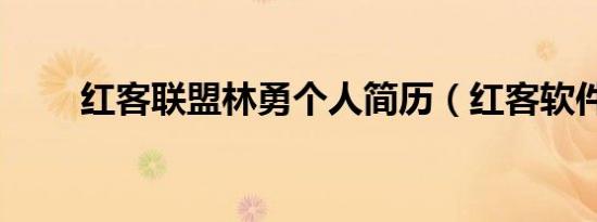 红客联盟林勇个人简历（红客软件）