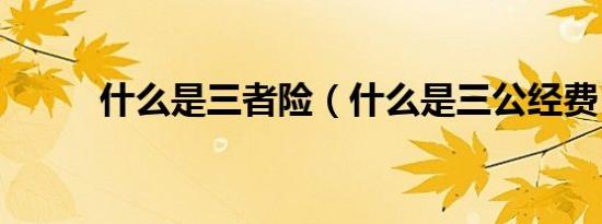 什么是三者险（什么是三公经费）