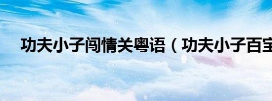 功夫小子闯情关粤语（功夫小子百宝卷）