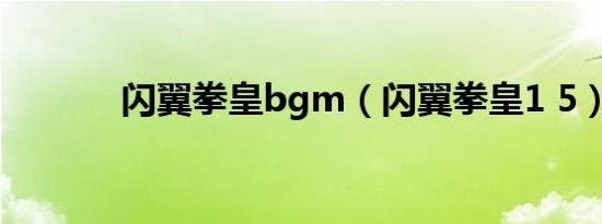 闪翼拳皇bgm（闪翼拳皇1 5）