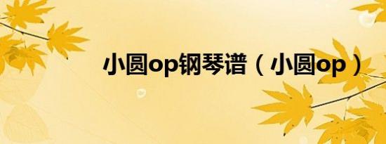 小圆op钢琴谱（小圆op）