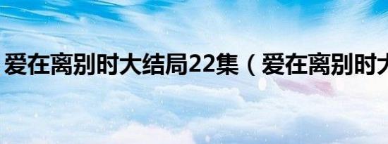 爱在离别时大结局22集（爱在离别时大结局）