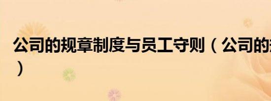 公司的规章制度与员工守则（公司的规章制度）