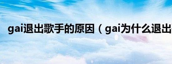 gai退出歌手的原因（gai为什么退出歌手）