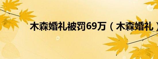 木森婚礼被罚69万（木森婚礼）