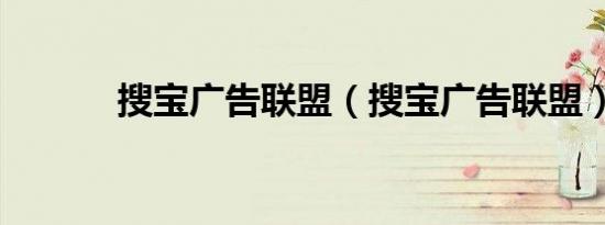 搜宝广告联盟（搜宝广告联盟）