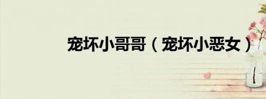 宠坏小哥哥（宠坏小恶女）