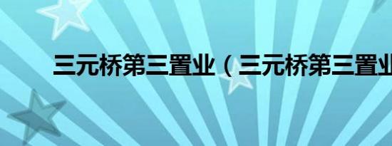 三元桥第三置业（三元桥第三置业）