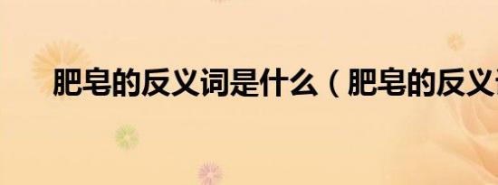 肥皂的反义词是什么（肥皂的反义词）