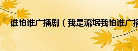 谁怕谁广播剧（我是流氓我怕谁广播剧）