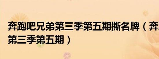 奔跑吧兄弟第三季第五期撕名牌（奔跑吧兄弟第三季第五期）