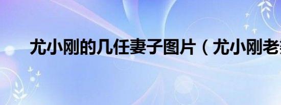尤小刚的几任妻子图片（尤小刚老婆）