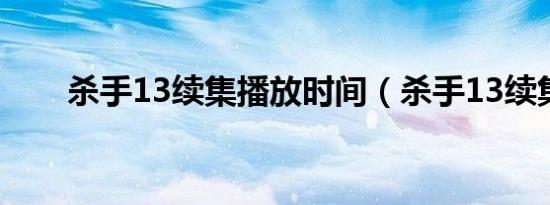 杀手13续集播放时间（杀手13续集）