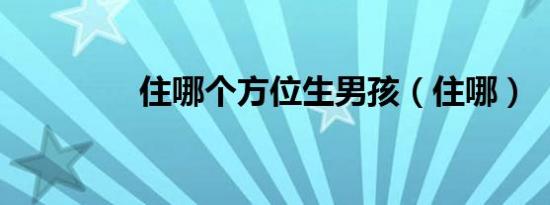 住哪个方位生男孩（住哪）