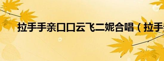 拉手手亲口口云飞二妮合唱（拉手券）