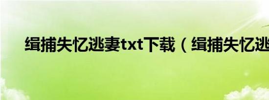 缉捕失忆逃妻txt下载（缉捕失忆逃妻）