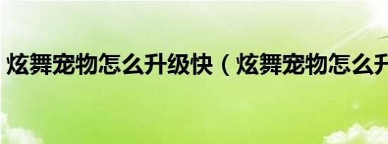 炫舞宠物怎么升级快（炫舞宠物怎么升级快）