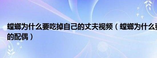 螳螂为什么要吃掉自己的丈夫视频（螳螂为什么要吃掉自己的配偶）